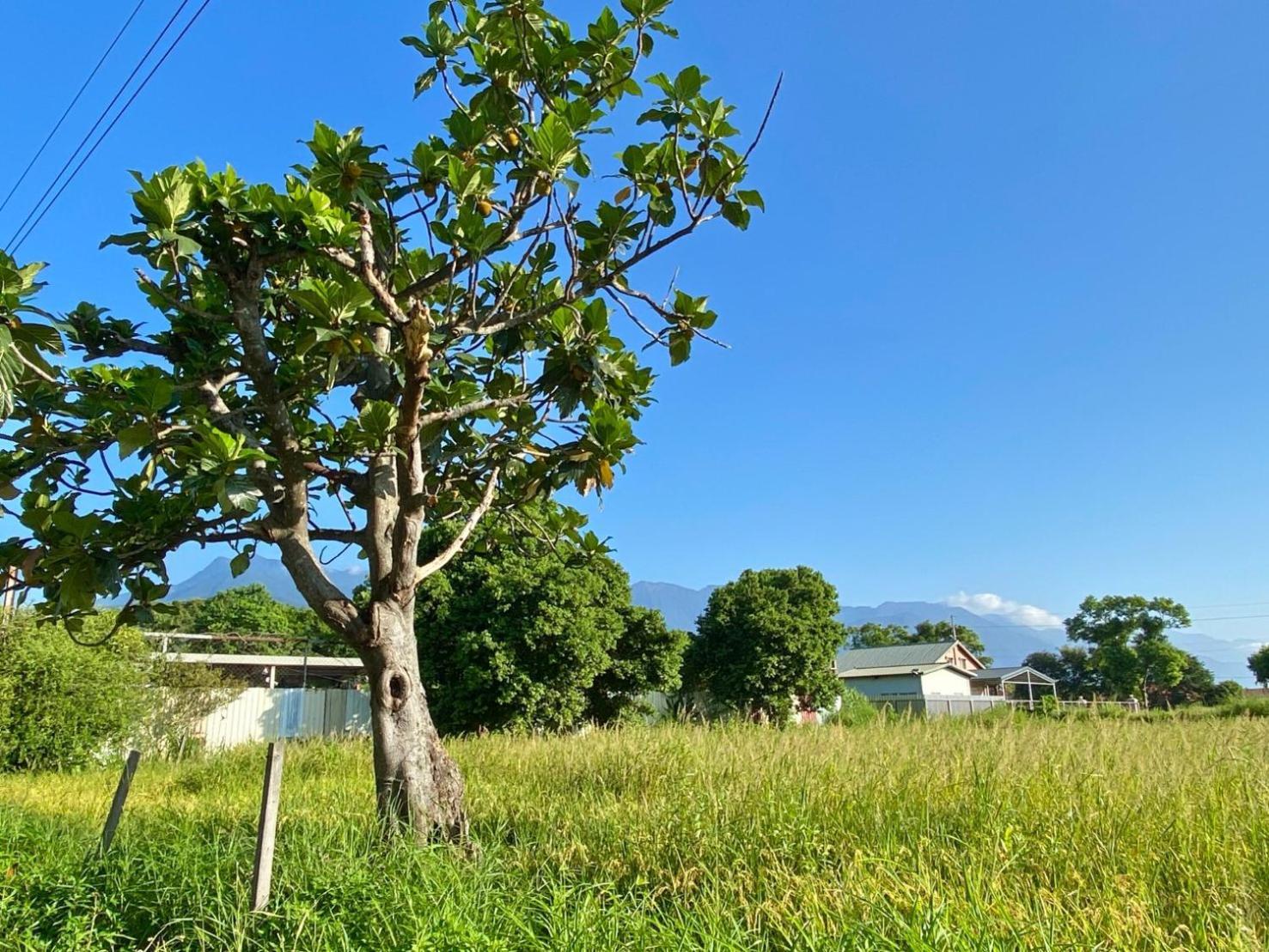 Najima B&B Ji'an Exterior foto